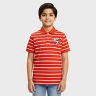 Boys Bright Cherry Red Cotton Crew Neck Casual Half Sleeve T-Shirt, Red, small