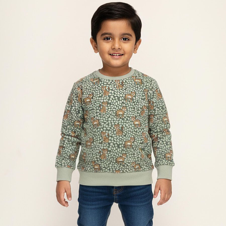 Boys' Sweatshirt, Light Green, large image number null