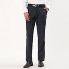 Men's Navy Blue Slim Fit Checkered Formal Trousers, Dark Grey, small image number null
