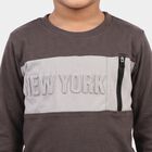 Boys Charcoal Cotton Round Neck Regular T-Shirt, चारकोल, small