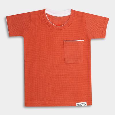 Boys' 100% Cotton Half Sleeves T-Shirt