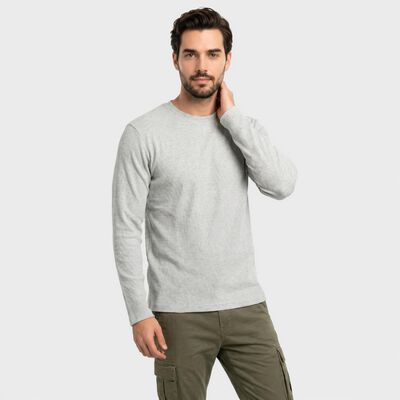 Men Grey Round Neck Regular T-Shirt