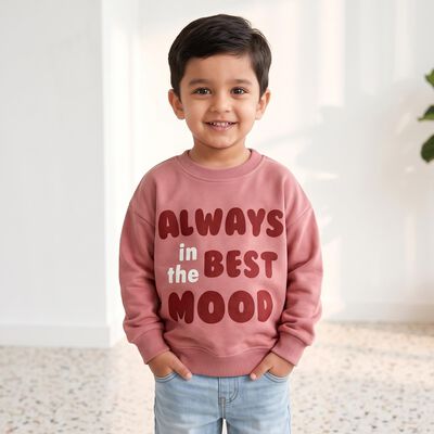 Boys' Pink Crew Neck Graphic Print Sweatshirt