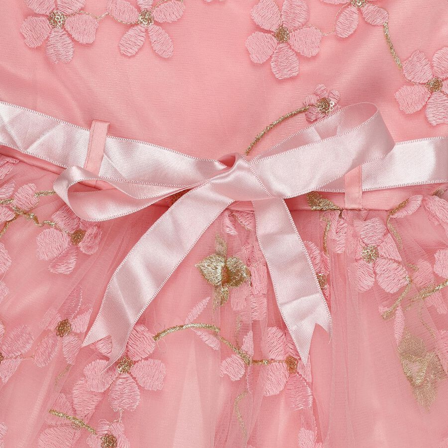 Girls' Soft Pink Floral Embroidered Sleeveless Flared Frock, Pink, large image number null