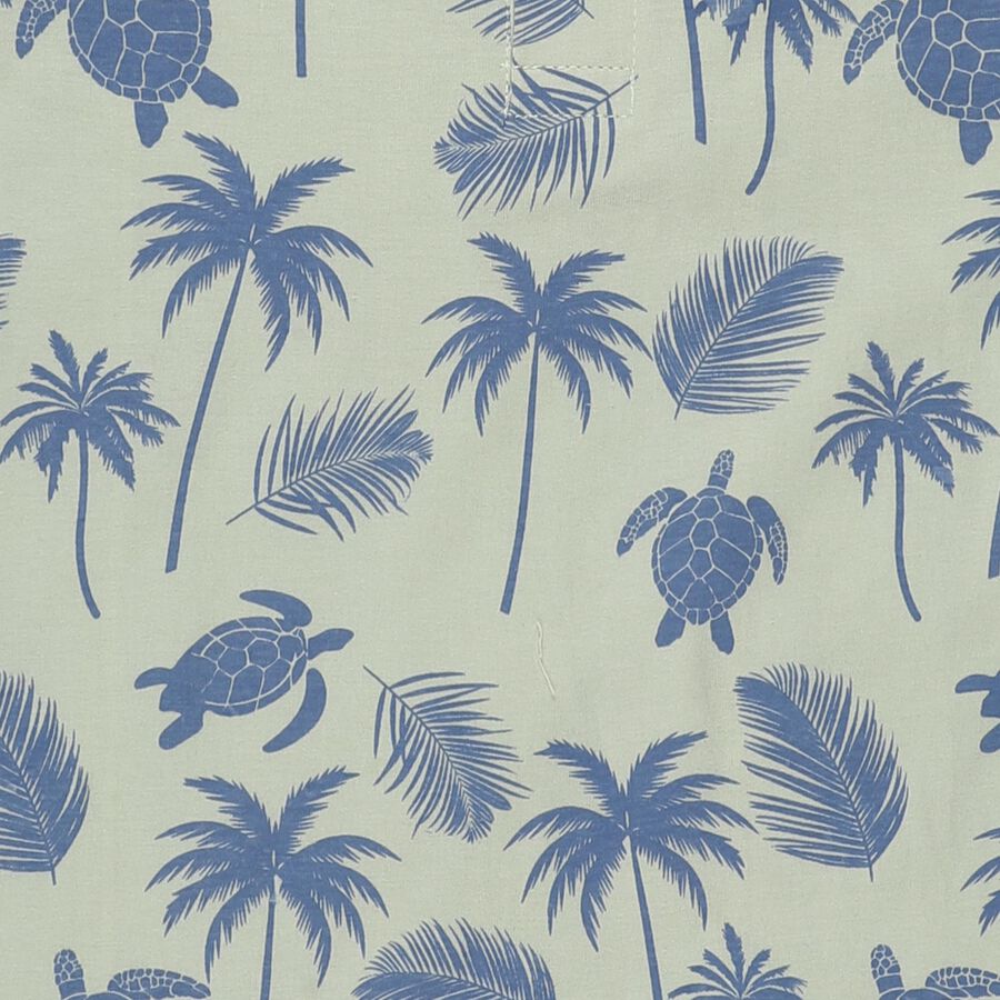 Boys Light Green Cotton Polo Neck Casual T-Shirt, Light Green, large