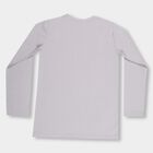 Boys' Light Grey Crew Neck Casual Full Sleeve T-Shirt, Light Grey, small image number null