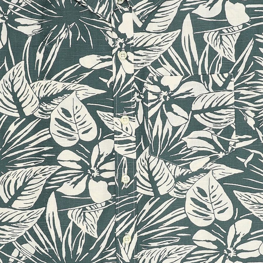 Boys Light Sage Green Cotton Half Sleeve Button Down Casual Shirt, Light Green, large image number null