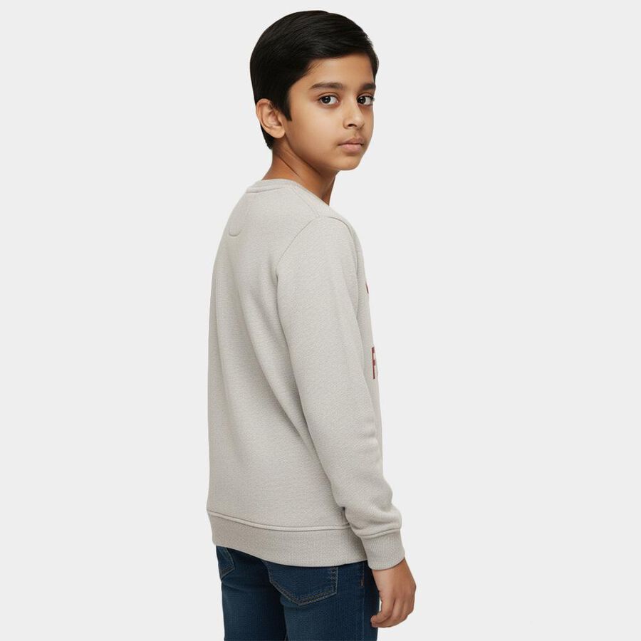 Boys Light Grey Crew Neck Graphic Sweatshirt, Ecru Melange, large image number null