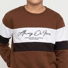 Boys' Brown Crew Neck Pullover Sweatshirt, Brown, small