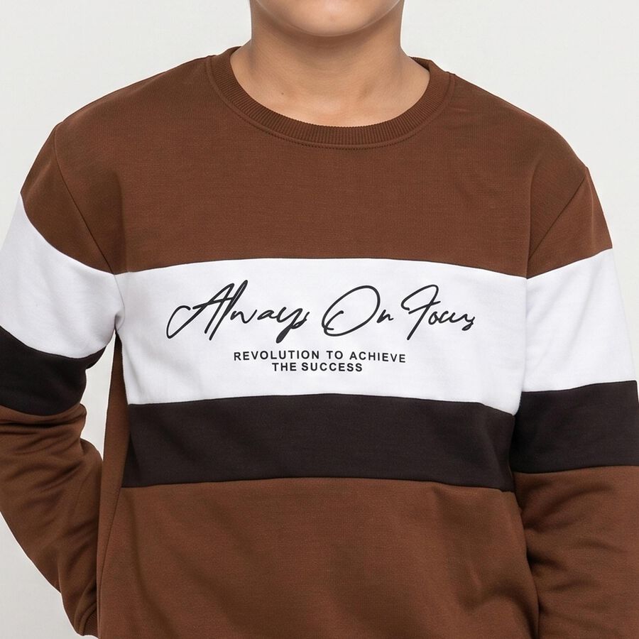 Boys' Brown Crew Neck Pullover Sweatshirt, Brown, large