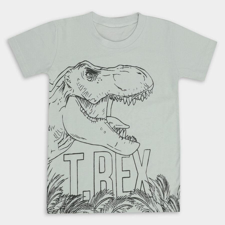Boys' 100% Cotton Half Sleeves T-Shirt, Light Green, large image number null
