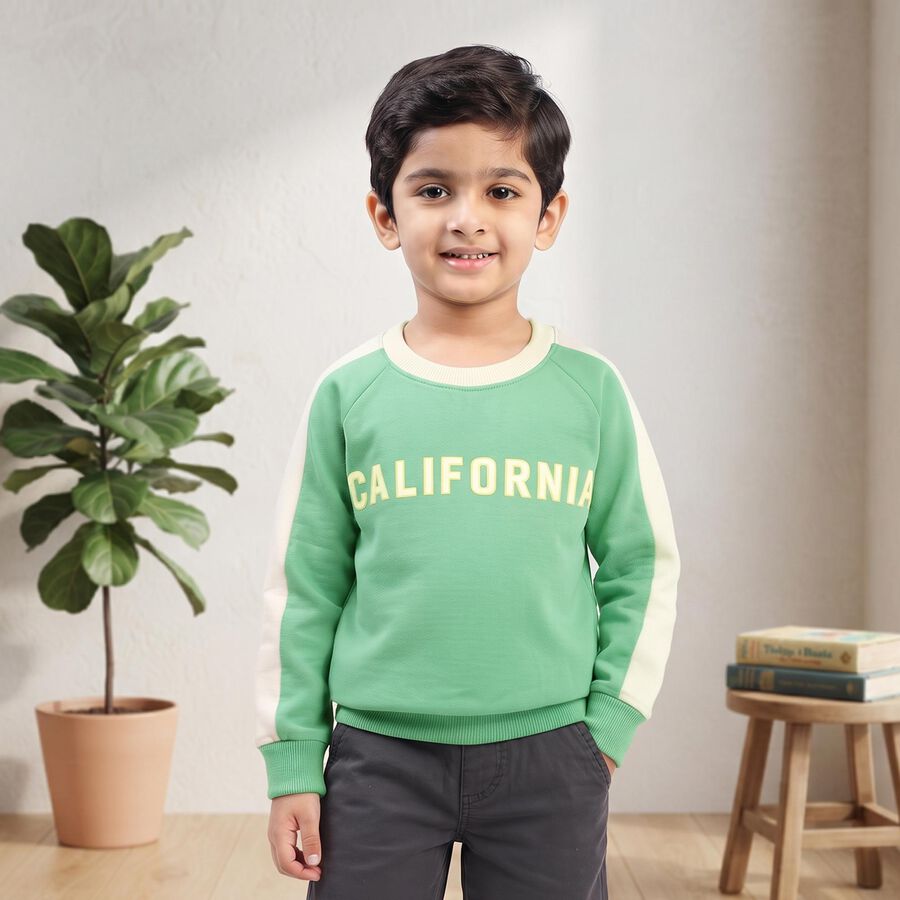 Boys' Dark Green Crew Neck Pullover Sweatshirt, Dark Green, large