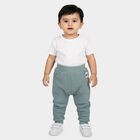 Infants Teal Jogger Waffle Knit Pyjama, टील ब्लू, small