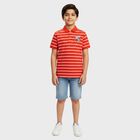 Boys Bright Cherry Red Cotton Crew Neck Casual Half Sleeve T-Shirt, Red, small
