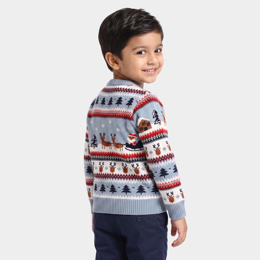 Boys Light Blue Crew Neck Printed Pullover, हल्का नीला, large