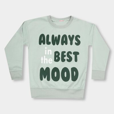 Boys Light Sage Green Crew Neck Casual Sweatshirt