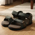 Men's Sandal, Olive, small