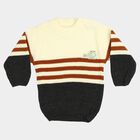 Infants' Charcoal Crew Neck Striped Pullover, चारकोल, small