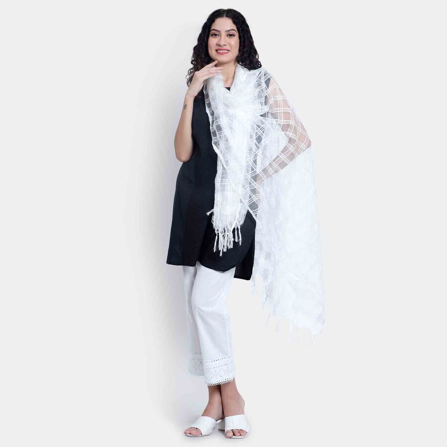 Solid Dupatta, Off White, large image number null