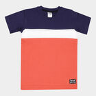 Boys Cotton T-Shirt, Rust, small image number null