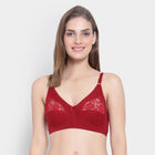 Solid Bra, Maroon, small image number null