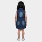 Girls' Blue Sleeveless Shirt Style Button Front Frock, मध्यम नीला, small