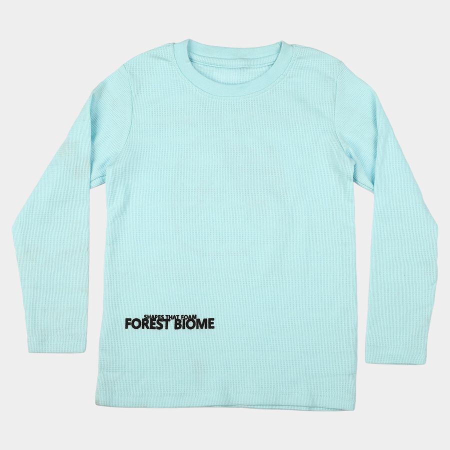 Boys Light Blue Round Neck Regular T-Shirt, Light Blue, large