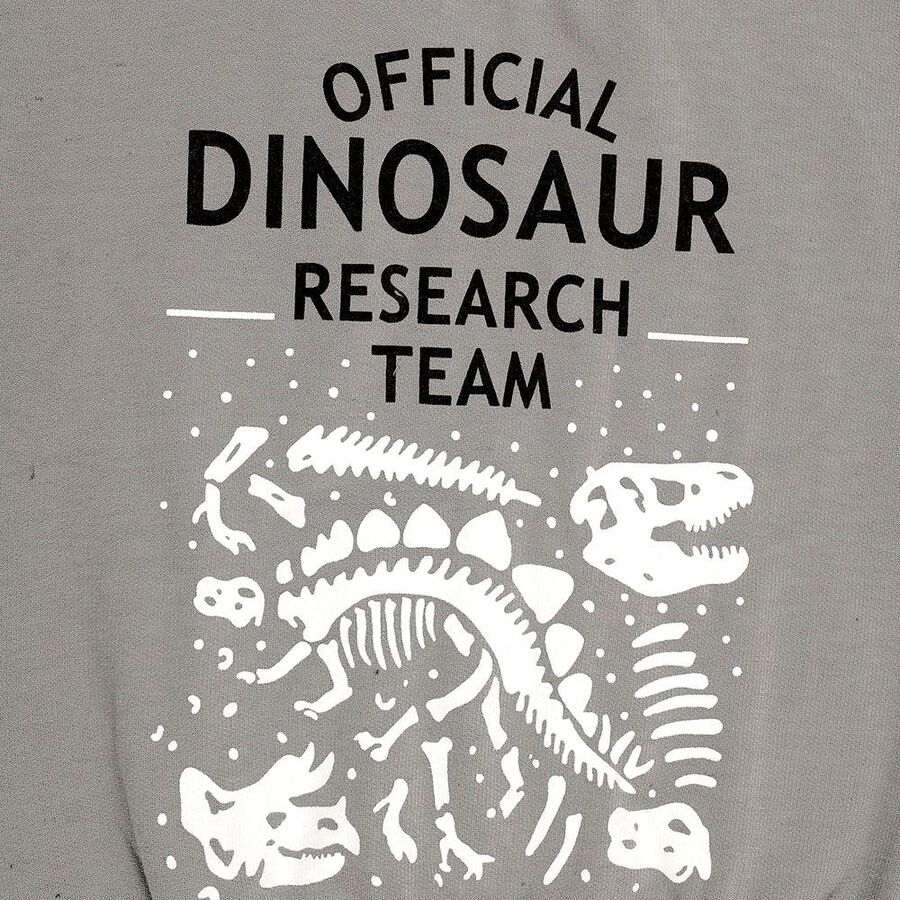 Boys Light Grey Crew Neck Casual Sweatshirt, Light Grey, large