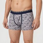 Men's Grey Regular Fit Printed Trunks, Light Grey, small