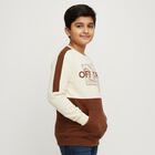 Boys' Sweatshirt, भूरा, small image number null