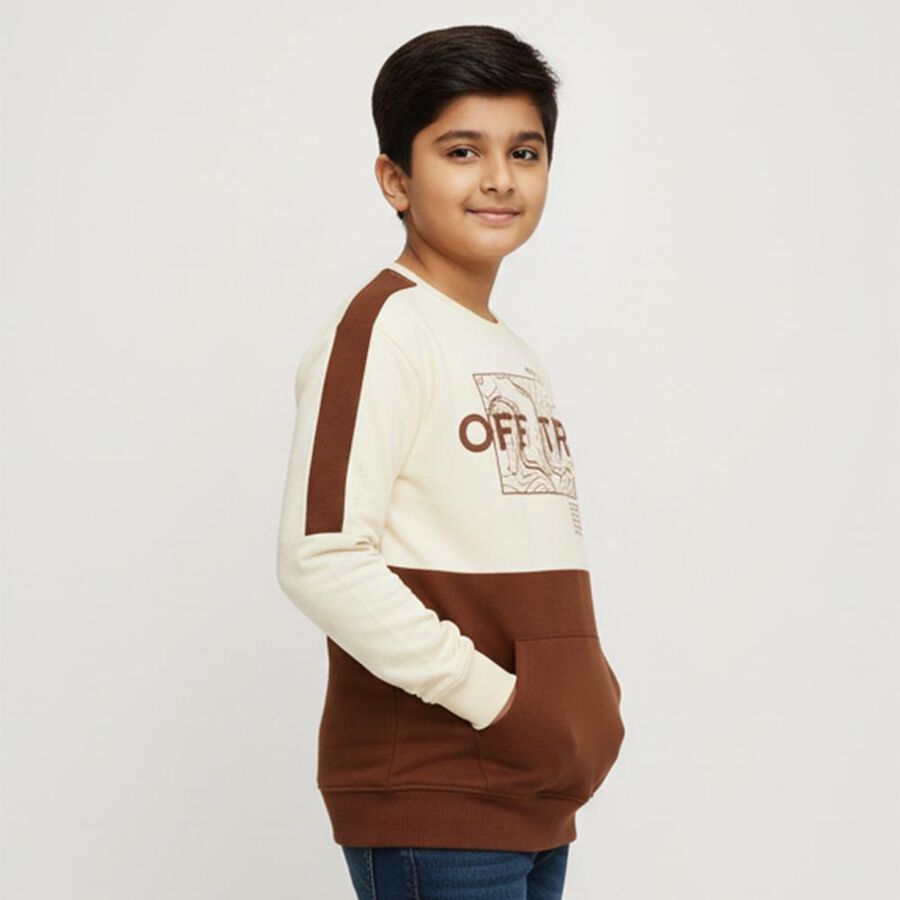Boys' Sweatshirt, भूरा, large image number null