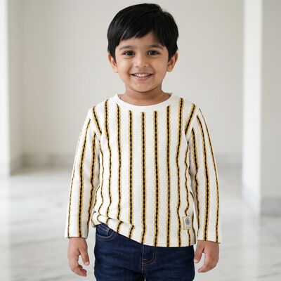 Boys White Crew Neck Regular Striped T-Shirt