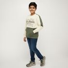 Boys Olive Green and Cream Crew Neck Casual Sweatshirt, ओलिव, small image number null