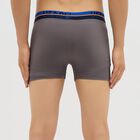 Men's Charcoal Gray Regular Fit Logo Waistband Trunks, Dark Grey, small image number null