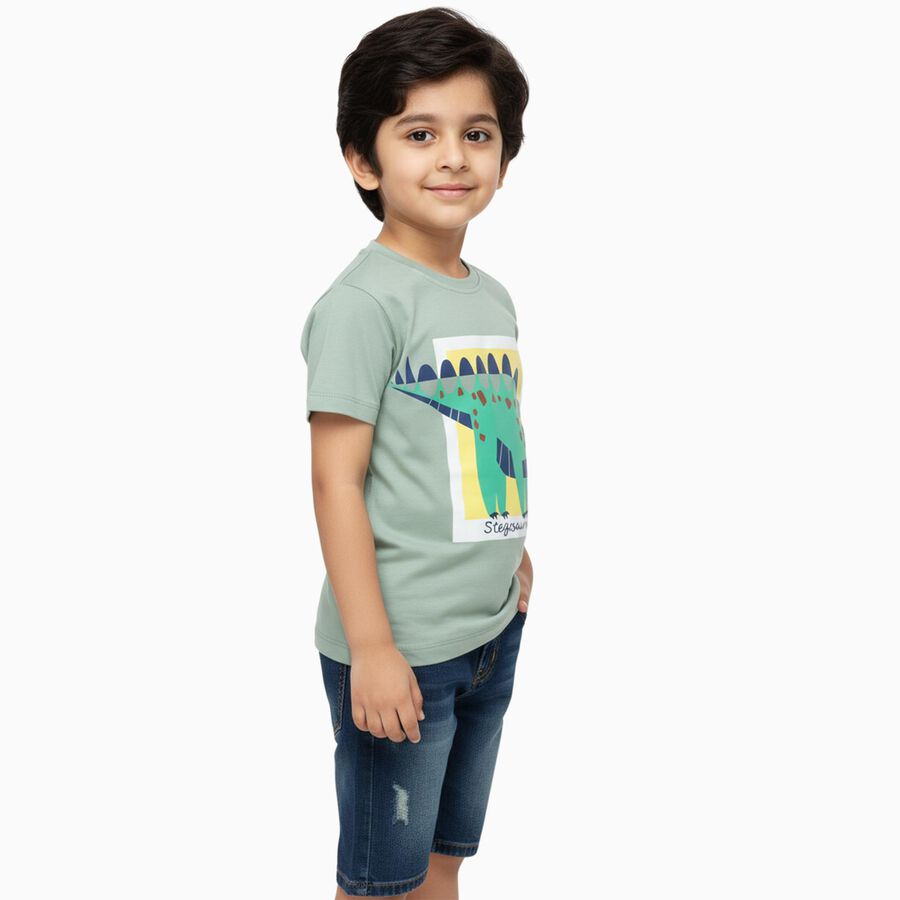 Boys Light Sage Green Cotton Crew Neck Casual T-Shirt, हल्का हरा, large image number null
