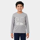 Boys Grey Crew Neck Regular Boys T-Shirt, हल्का ग्रे, small
