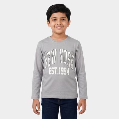 Boys Grey Crew Neck Regular Boys T-Shirt