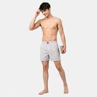 Men's Grey Relaxed Fit Striped Boxers, Light Grey, small