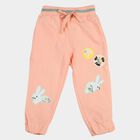 Girls' Peach Jogger Fit Bunny Applique Pyjama, पीच, small