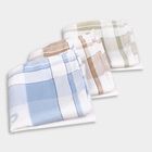 Men's 100% Cotton Hanky, White, small