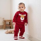 Infants' Maroon Round Neck Graphic Baba Suit, Maroon, small