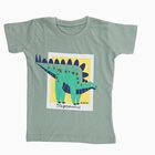 Boys Light Sage Green Cotton Crew Neck Casual T-Shirt, हल्का हरा, small image number null