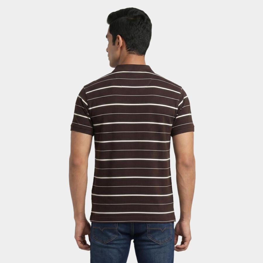 Men's Brown Cotton Polo Neck Striped T-Shirt, भूरा, large