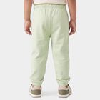 Boys' Mint Green Jogger Fit Dinosaur Pyjama, हल्का हरा, small