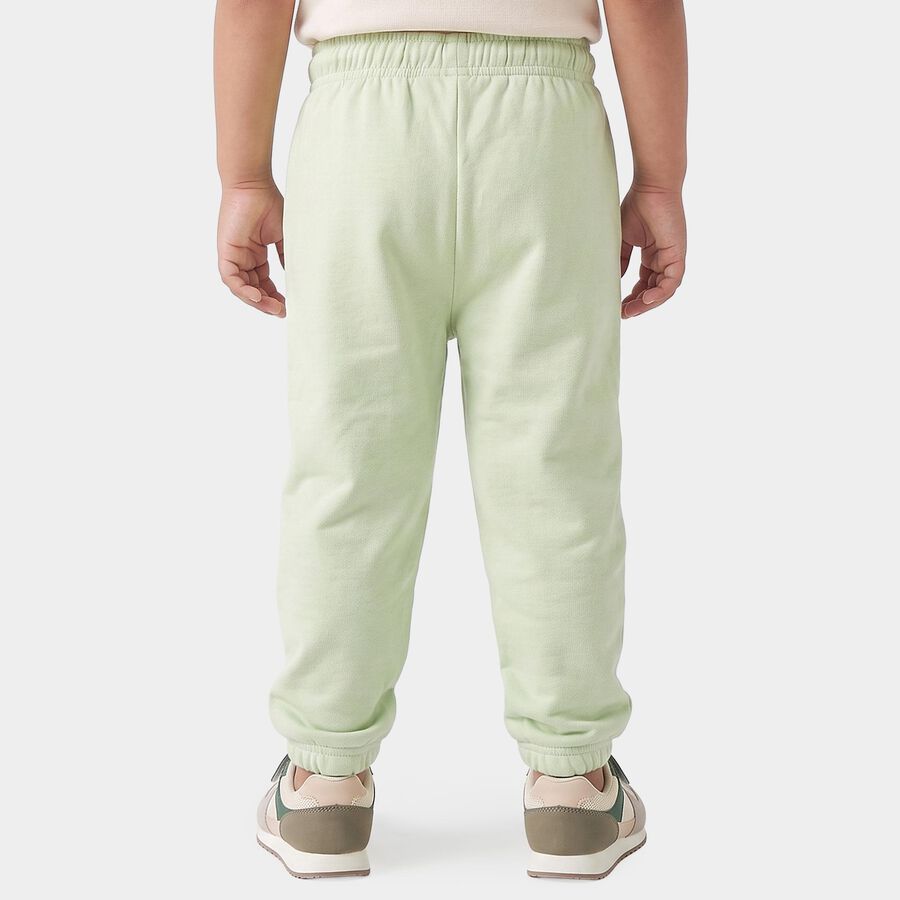 Boys' Mint Green Jogger Fit Dinosaur Pyjama, हल्का हरा, large