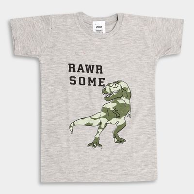 Boy's Half Sleeves T-Shirt