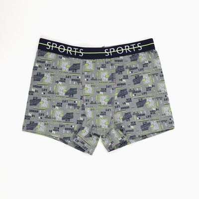 Boys' Muted Grey Regular Fit Printed Briefs