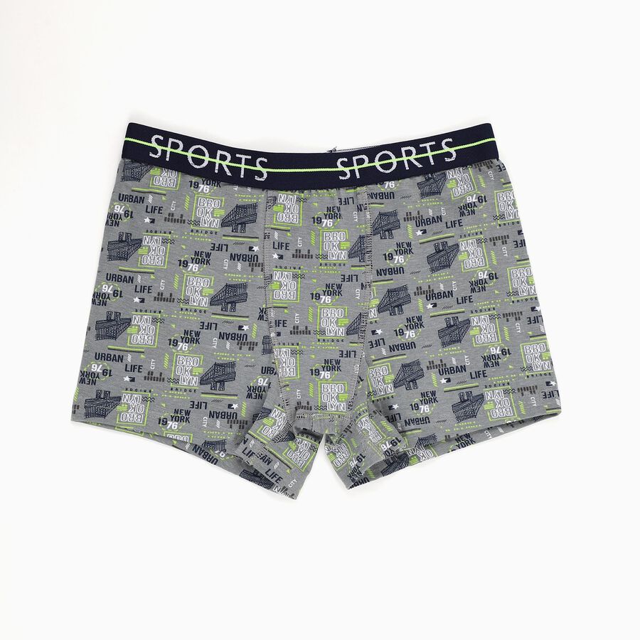 Boys' Muted Grey Regular Fit Printed Briefs, मिश्रित मध्यम ग्रे, large image number null