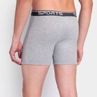 Men's Trunks, Melange Light Grey, small image number null
