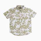 Boys' Muted Olive Green Cotton Half Sleeve Classic Collar Casual Shirt, ओलिव, small image number null